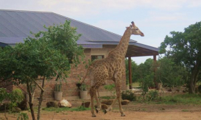 Mkhiweni 3 Bedroom Villa at Dombeya Wildlife Estate